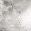 Air Shows