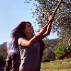 d146-12.jpg