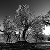 DSC_5186