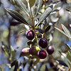 d146-21.jpg