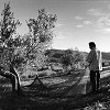 n412-32.jpg