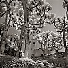 Villa del Balbianello