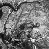 n415-32.jpg