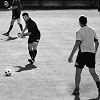 DSC_3719