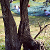 d146-28.jpg