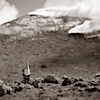 Sull'etna