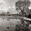 Villa Taranto, Verbania