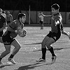 DSC_3785