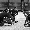 DSC_3729