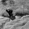 n415-37.jpg