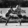 DSC_3992