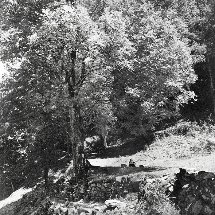 n503-06