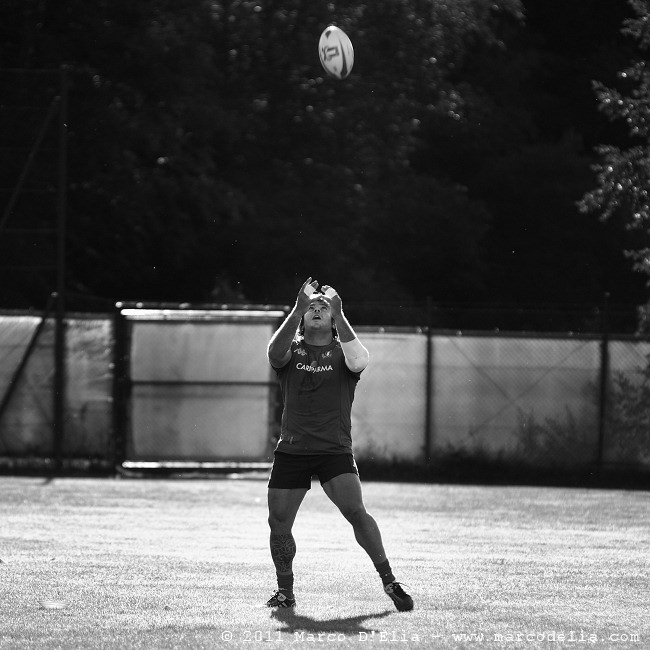 DSC_3868