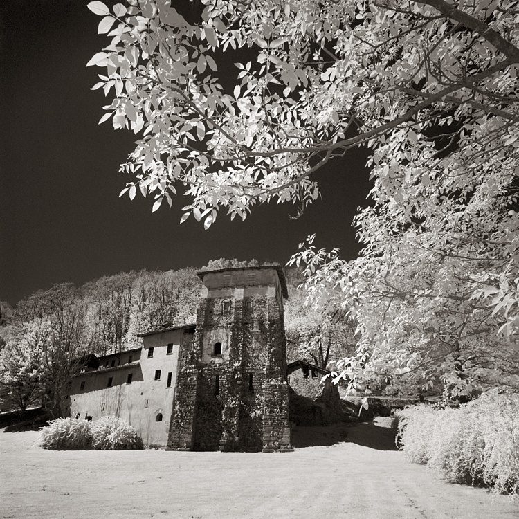 Monastero di Torba, Gornate Olona