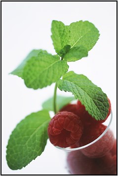 Menta e Lamponi